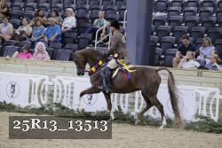 25R13_13513 proof