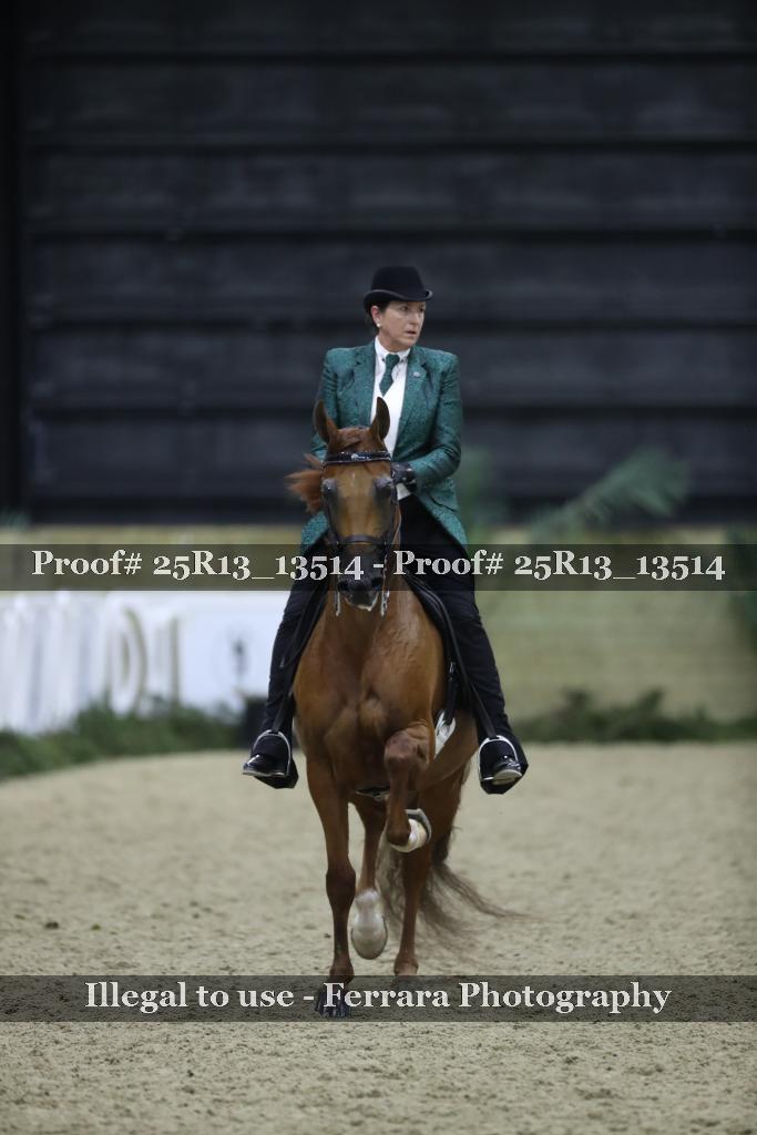 Proof 25R13_13514