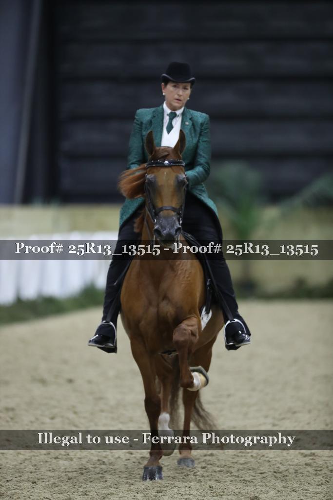 Proof 25R13_13515
