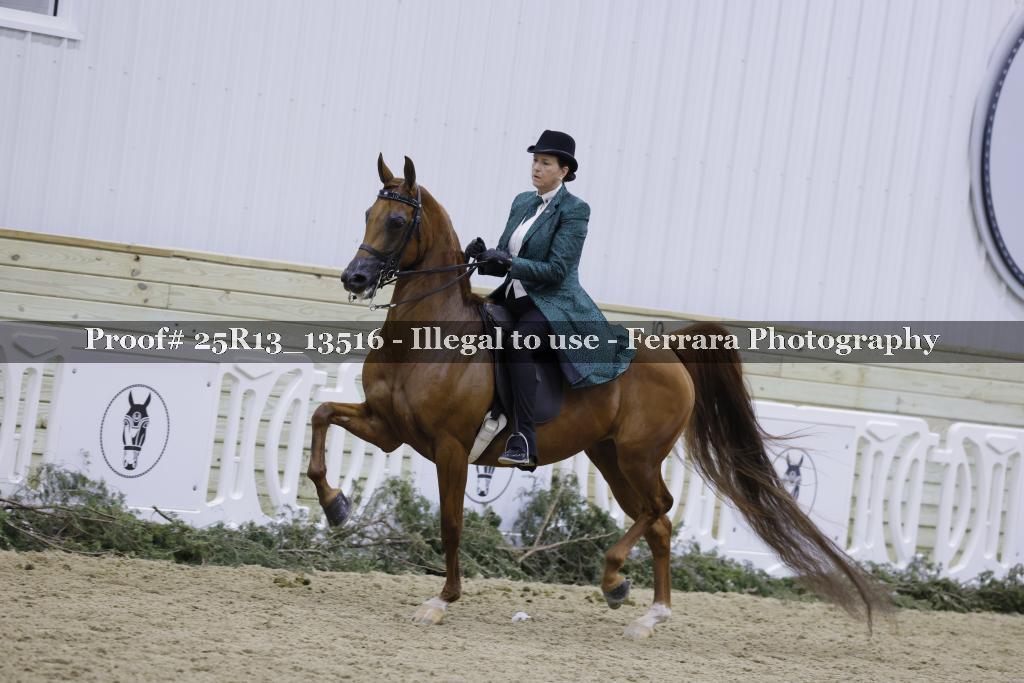 Proof 25R13_13516