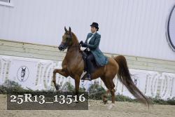 25R13_13516 proof
