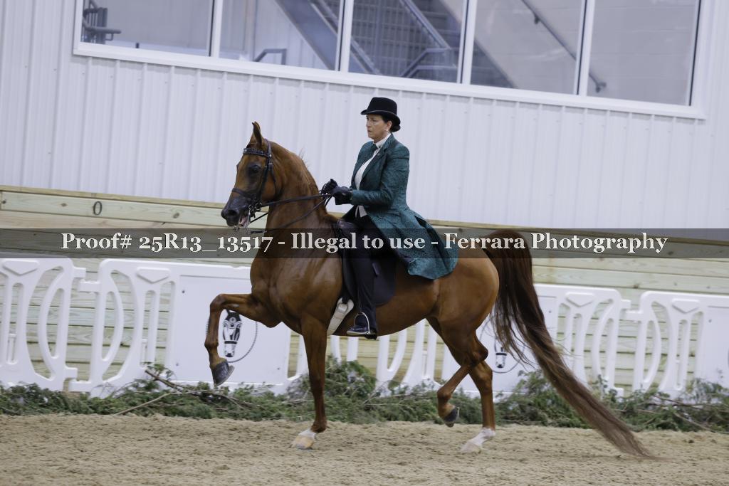 Proof 25R13_13517