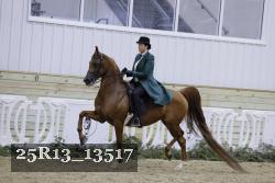 25R13_13517 proof