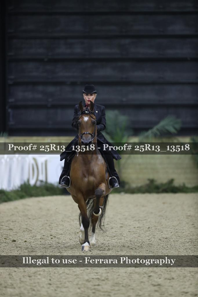 Proof 25R13_13518