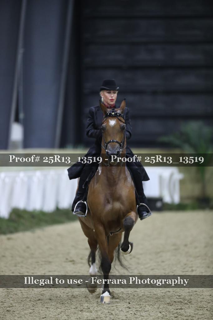 Proof 25R13_13519