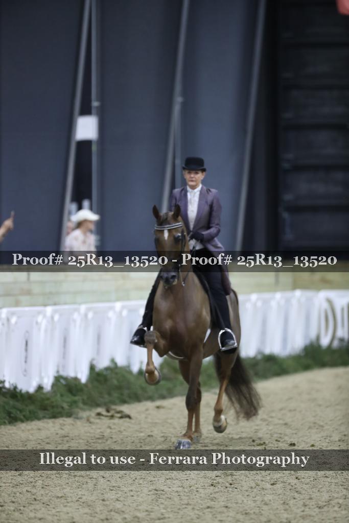 Proof 25R13_13520