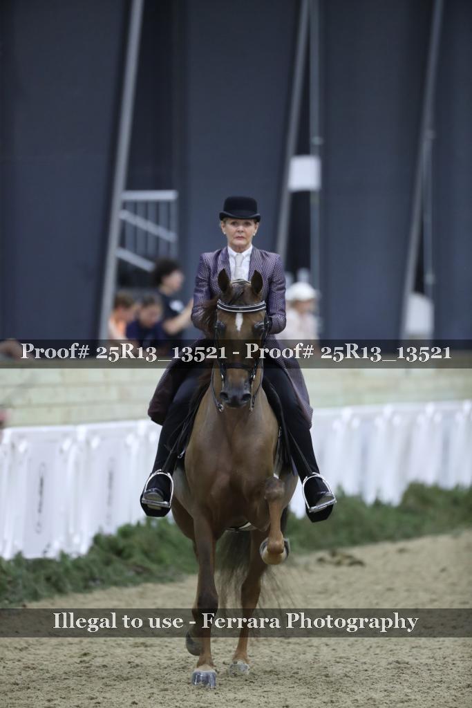 Proof 25R13_13521