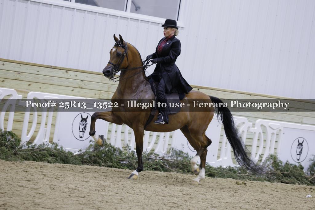 Proof 25R13_13522