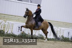 25R13_13522 proof