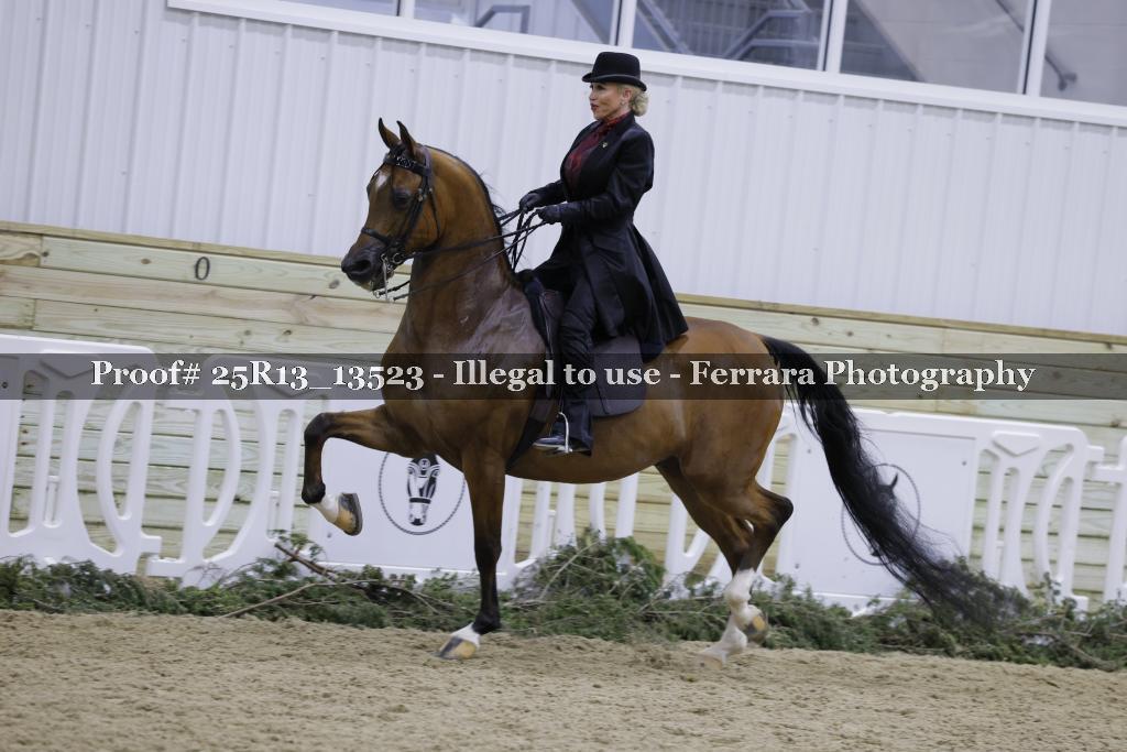 Proof 25R13_13523