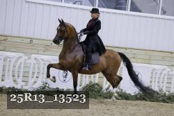 25R13_13523 proof