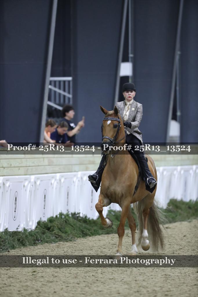 Proof 25R13_13524