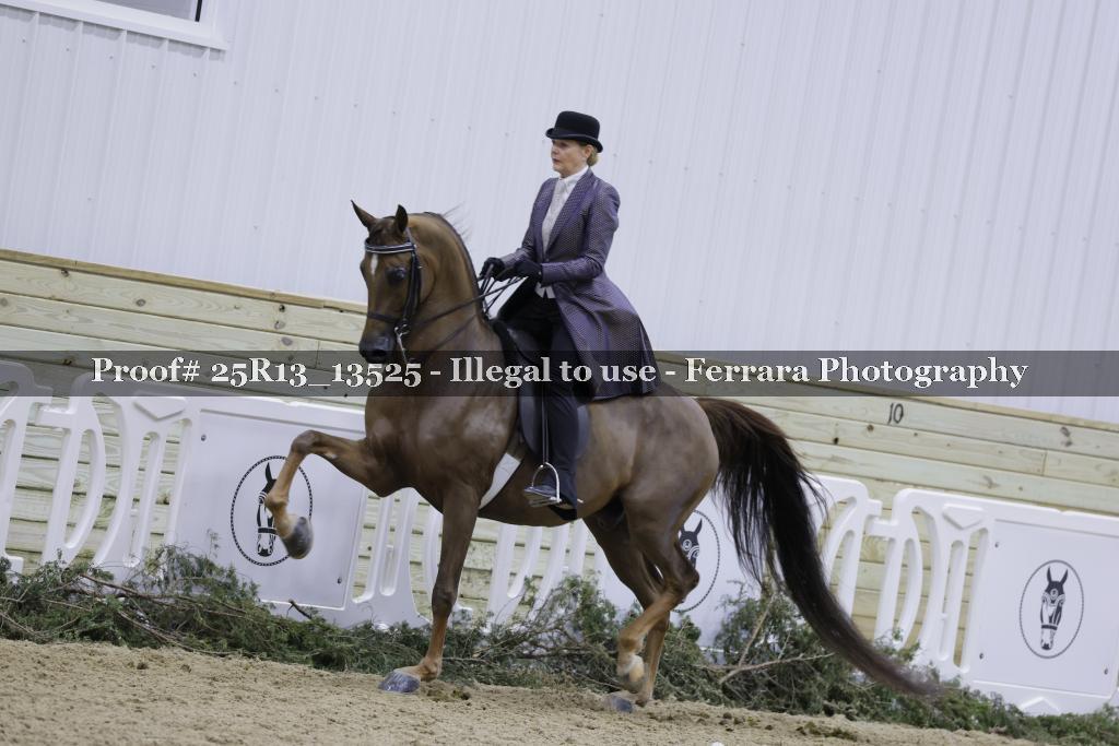 Proof 25R13_13525