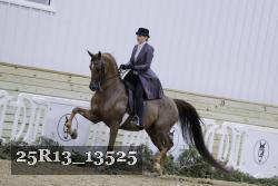 25R13_13525 proof