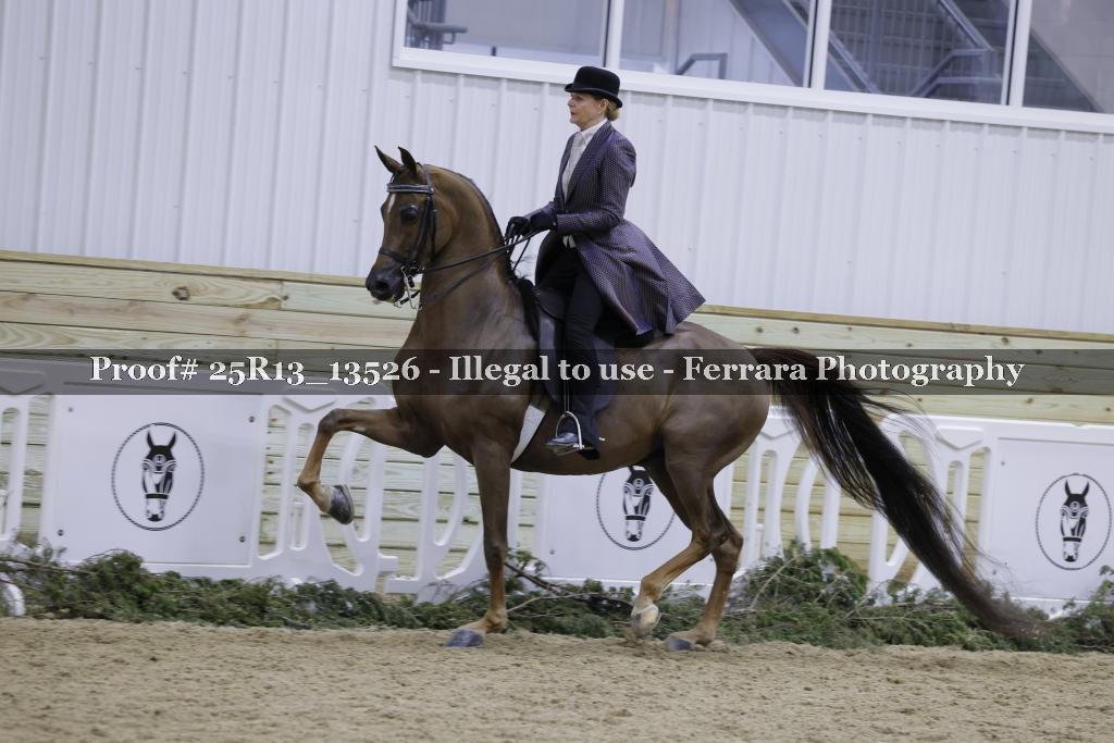 Proof 25R13_13526
