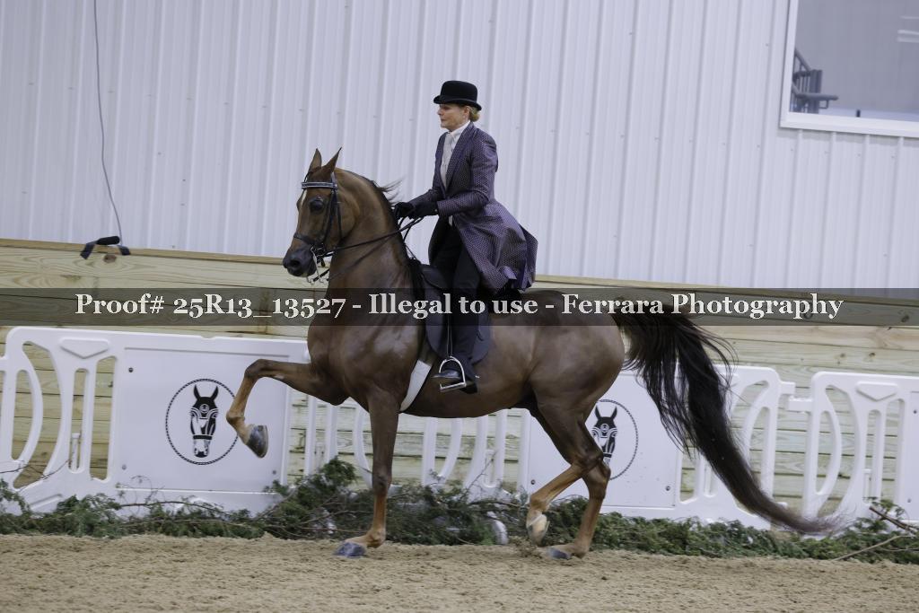 Proof 25R13_13527