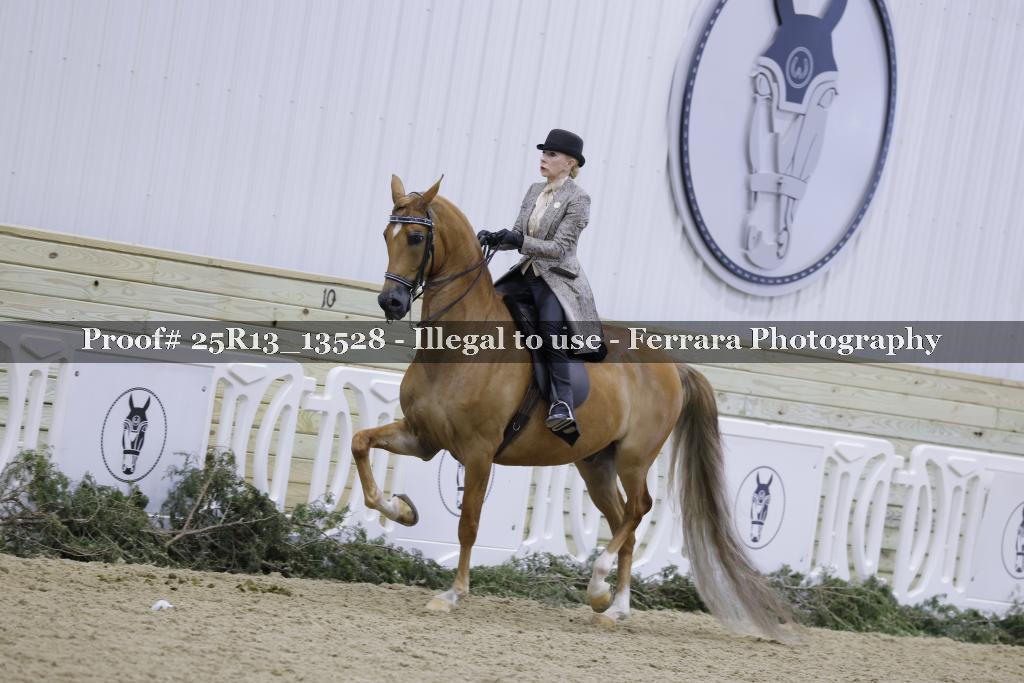 Proof 25R13_13528