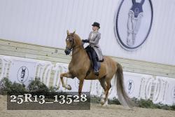 25R13_13528 proof