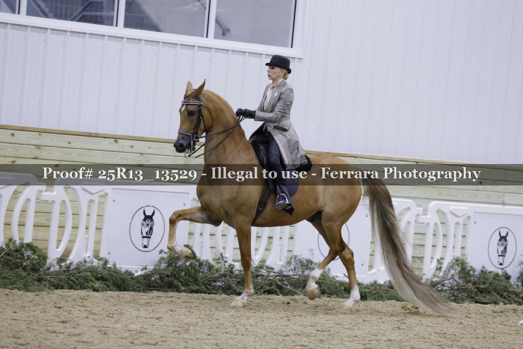 Proof 25R13_13529