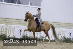 25R13_13529 proof