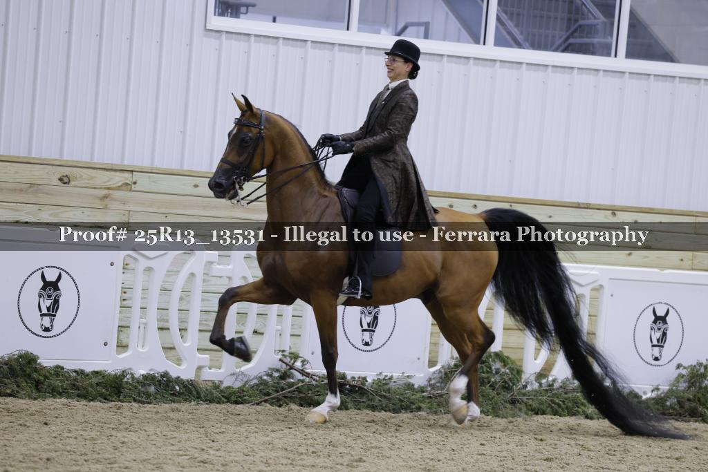 Proof 25R13_13531