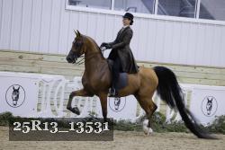 25R13_13531 proof