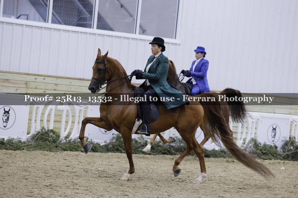 Proof 25R13_13532