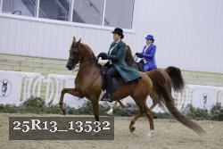 25R13_13532 proof