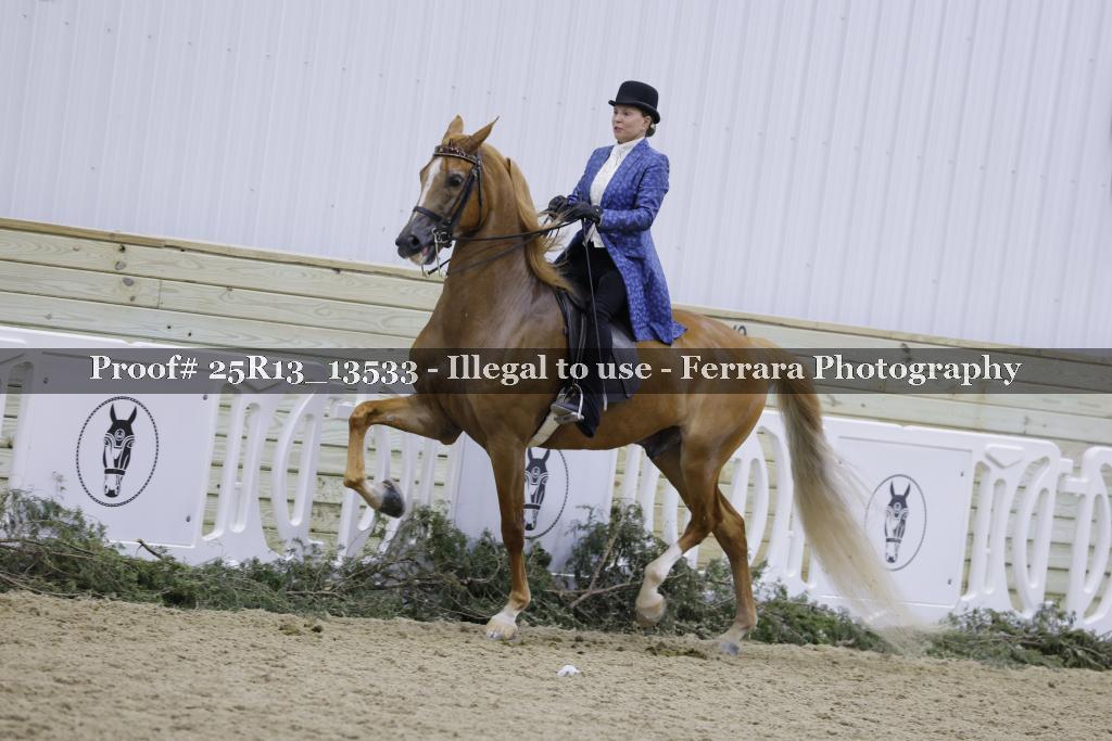 Proof 25R13_13533