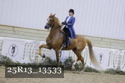 25R13_13533 proof
