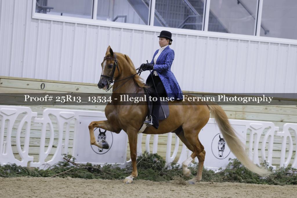 Proof 25R13_13534