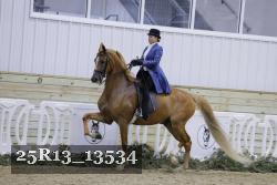 25R13_13534 proof