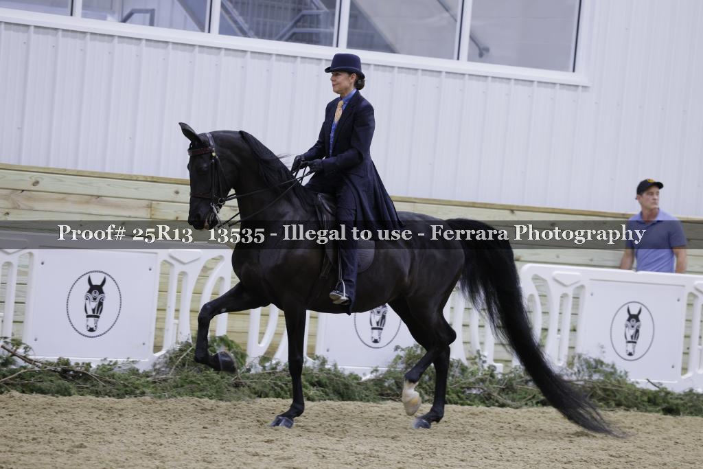 Proof 25R13_13535