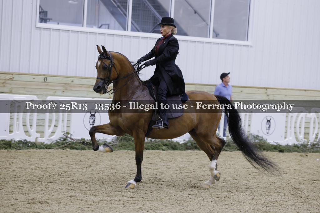 Proof 25R13_13536
