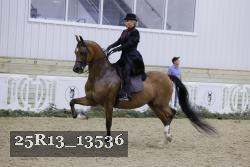 25R13_13536 proof