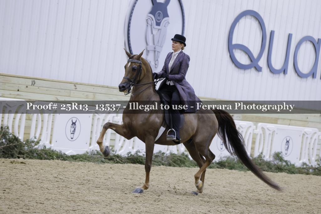 Proof 25R13_13537