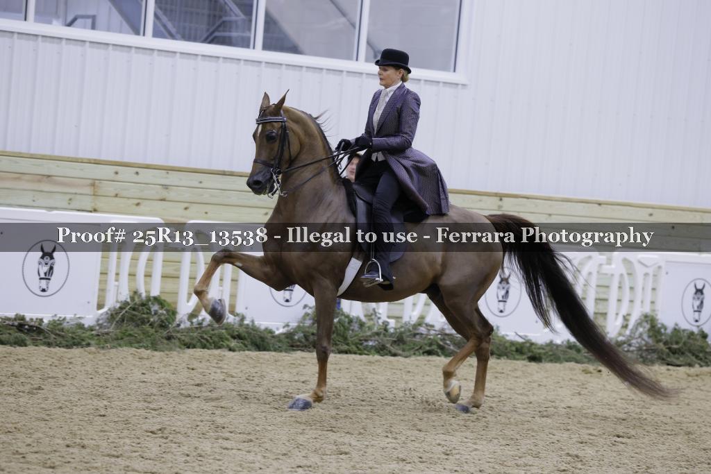 Proof 25R13_13538