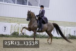 25R13_13538 proof