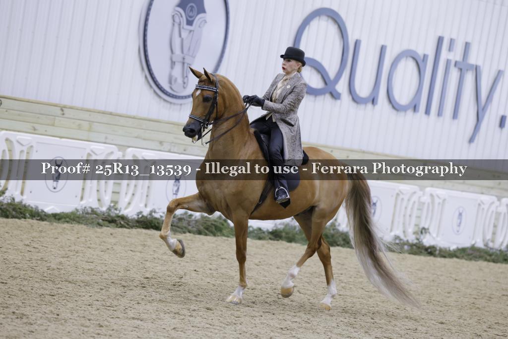 Proof 25R13_13539