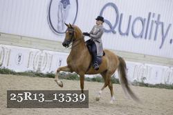 25R13_13539 proof