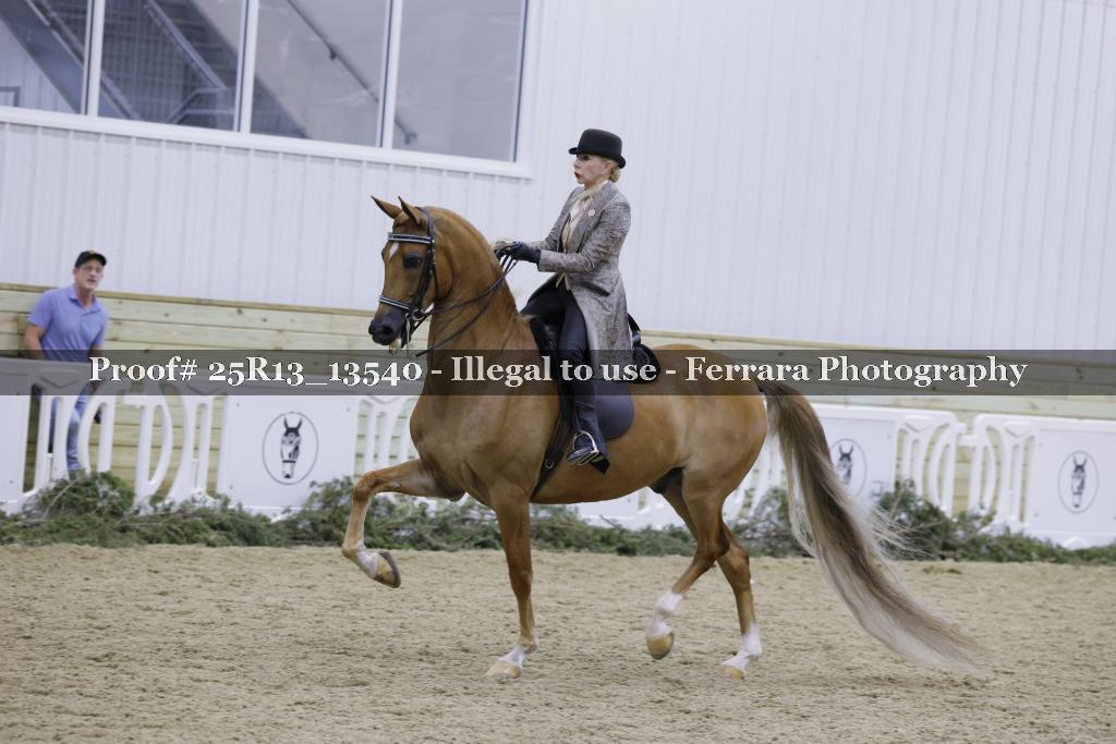 Proof 25R13_13540