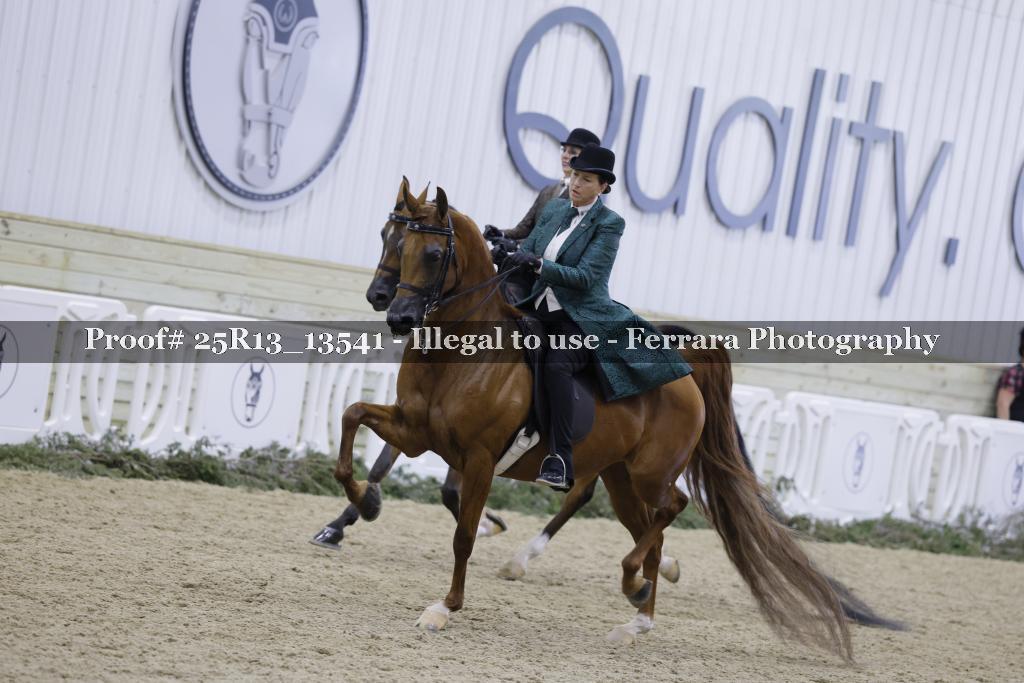 Proof 25R13_13541