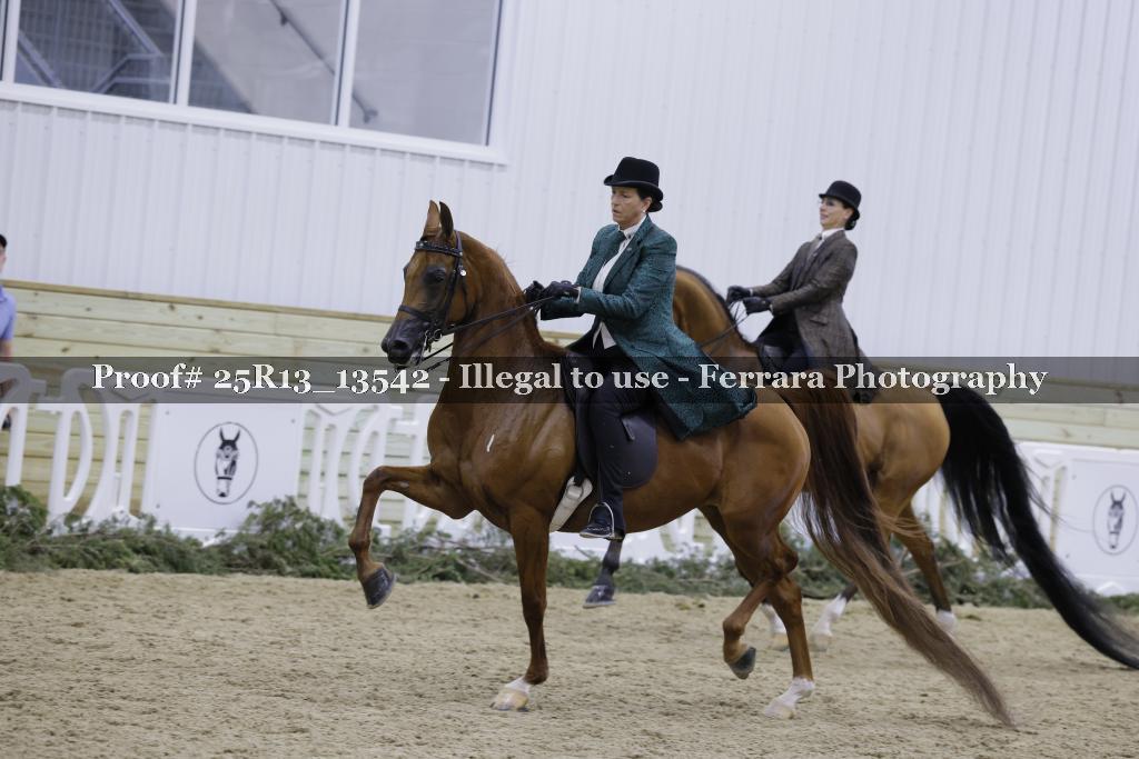 Proof 25R13_13542