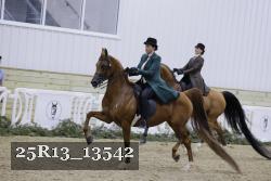 25R13_13542 proof