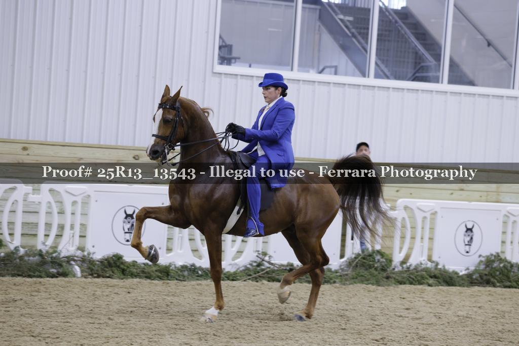 Proof 25R13_13543