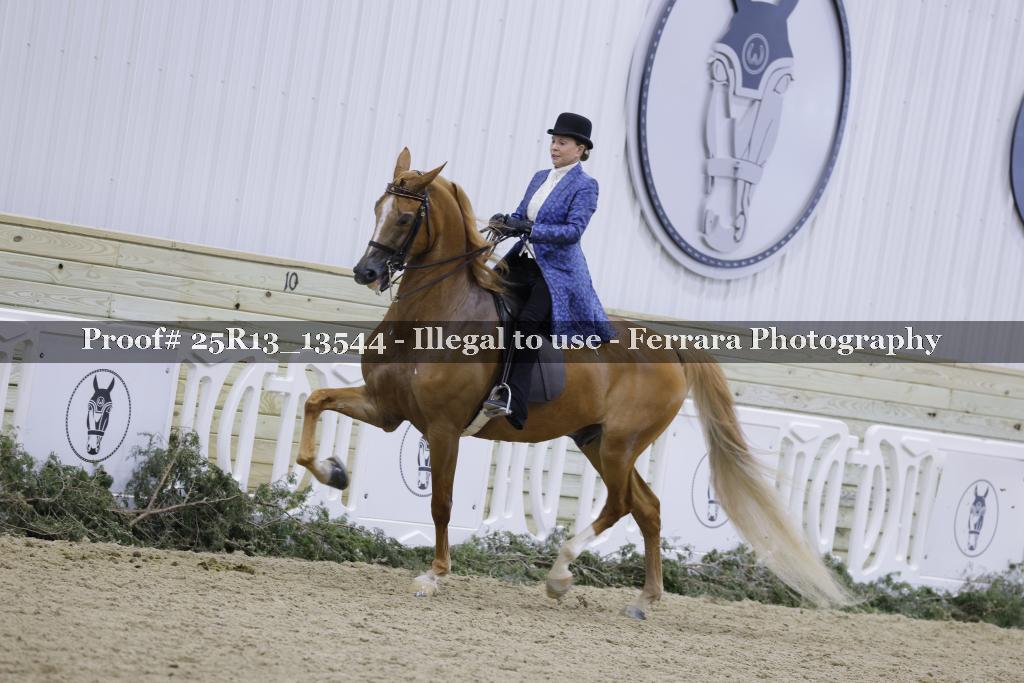 Proof 25R13_13544