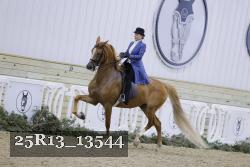 25R13_13544 proof