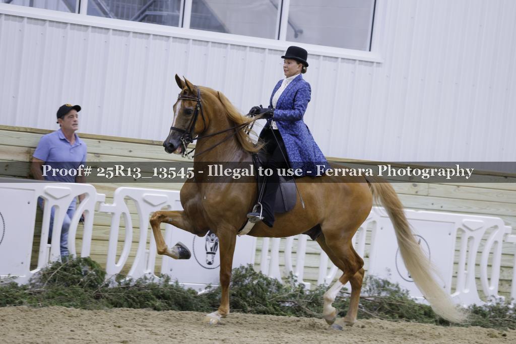 Proof 25R13_13545