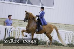 25R13_13545 proof