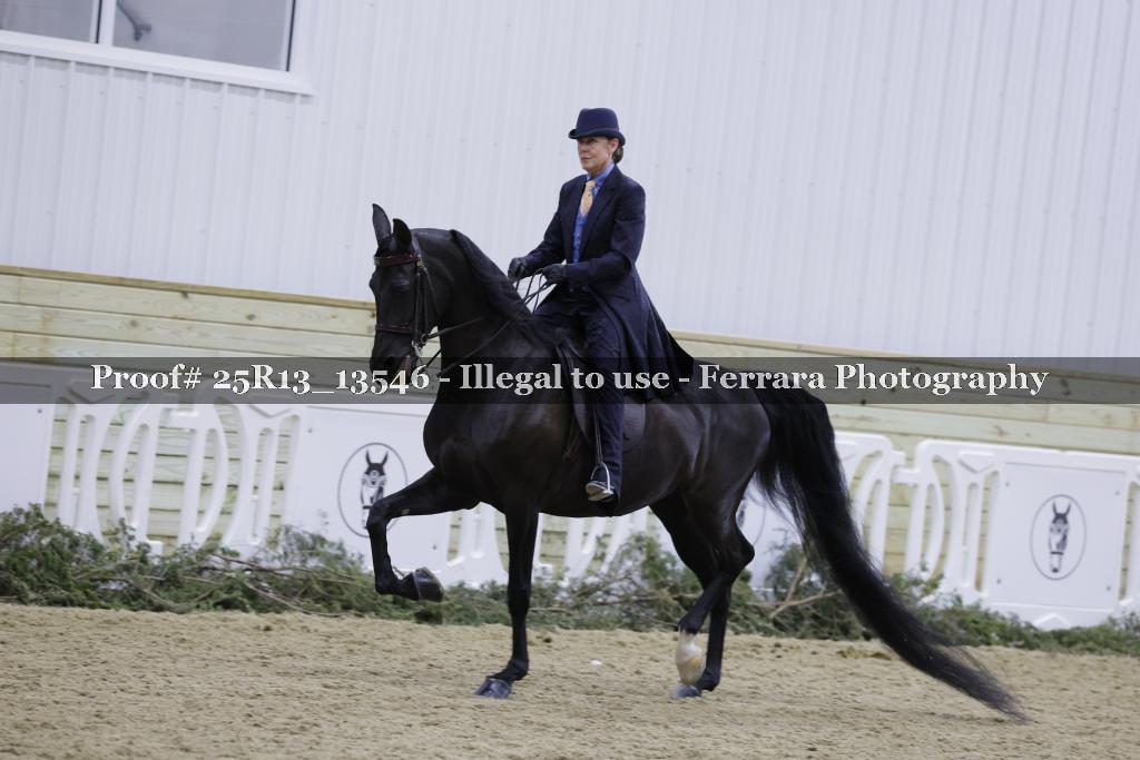Proof 25R13_13546